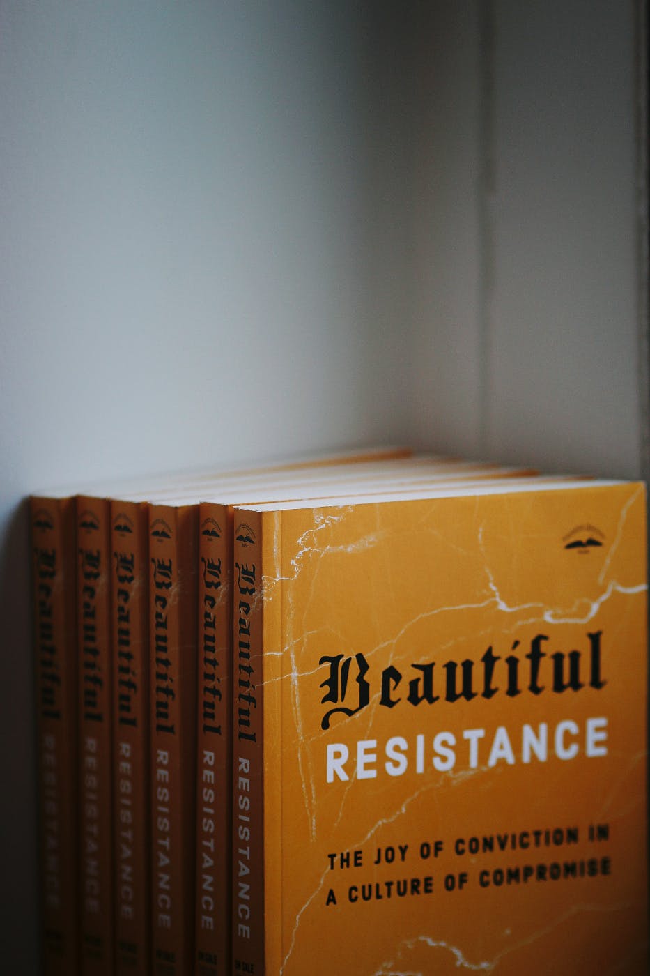 6 copies of Beautiful Resistance, The Joy of Conviction in a Culture of Compromise