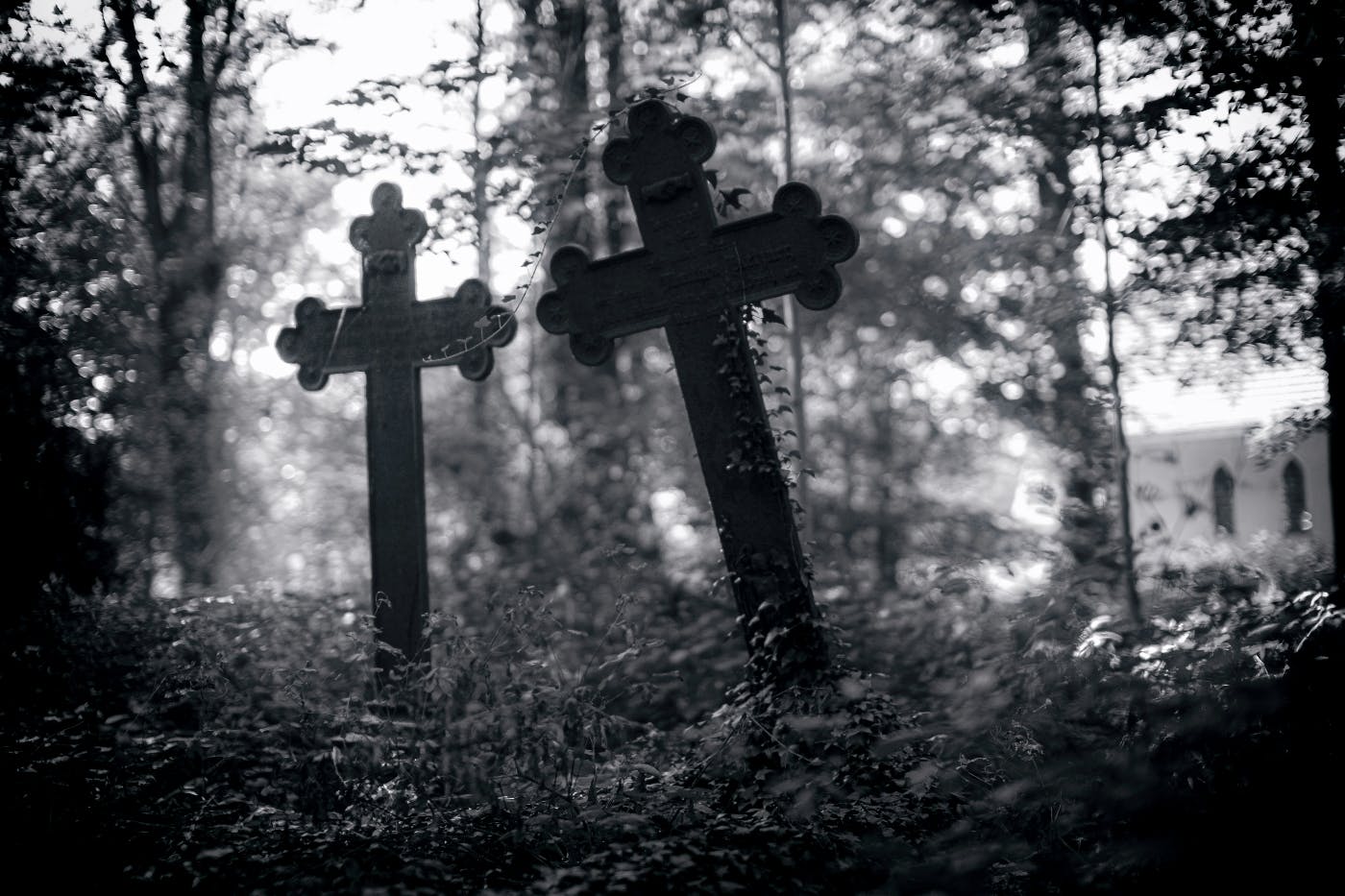 Two ivy covered cross shaped grave markers behind a church