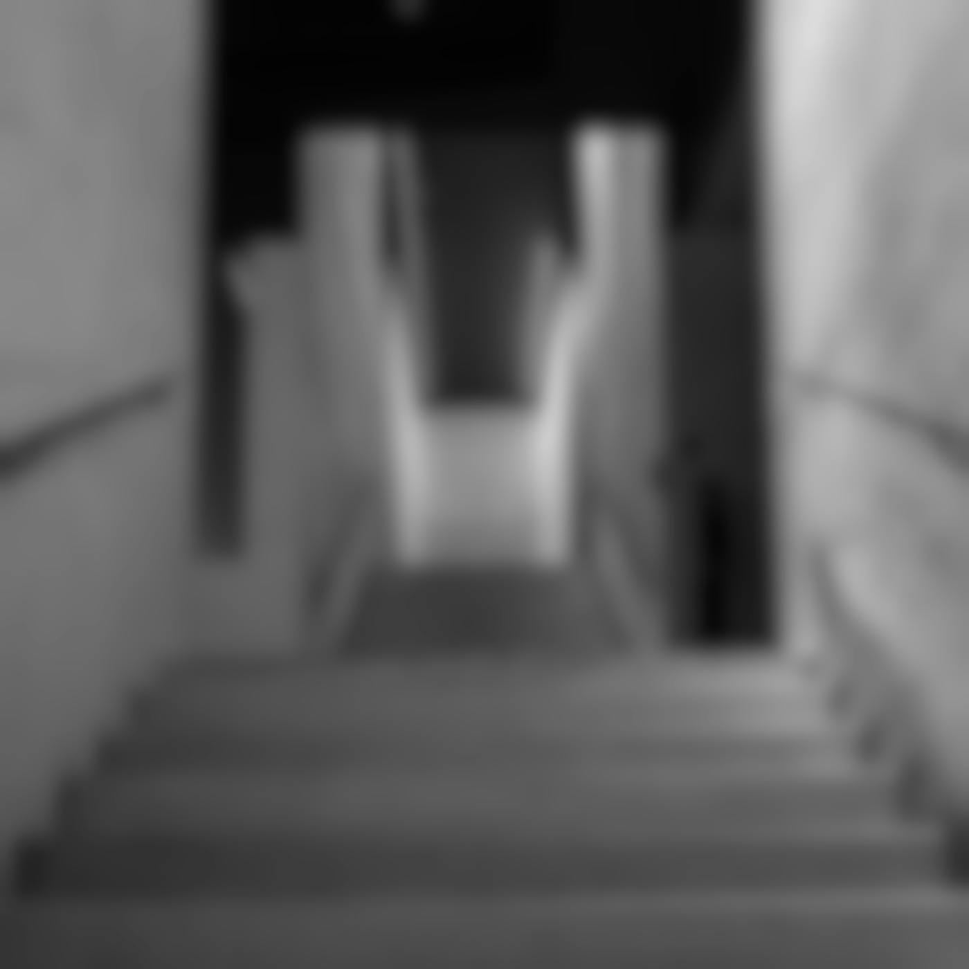 Black and white image of a staircase