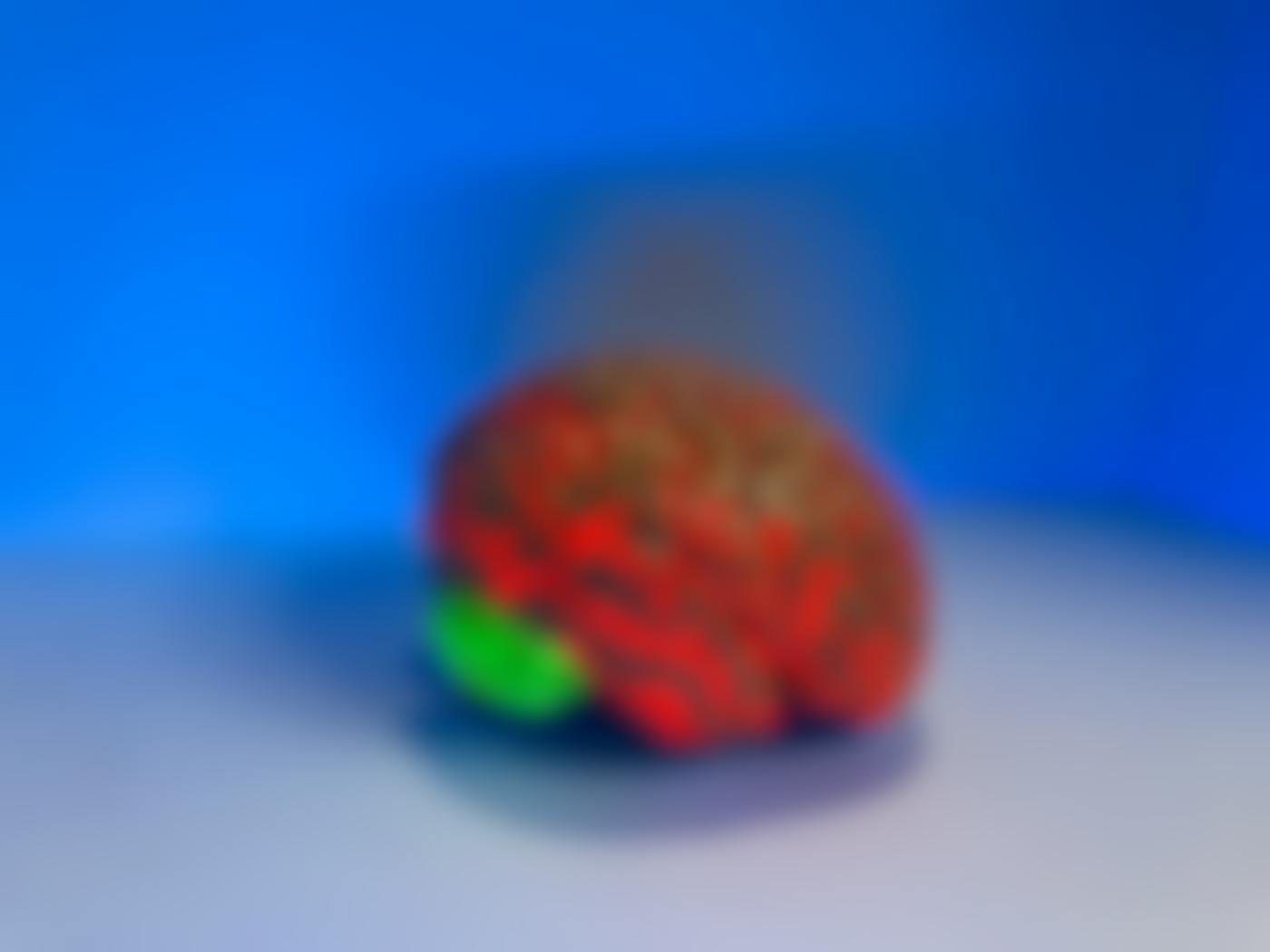 A model of a human brain painted red, green, and gray