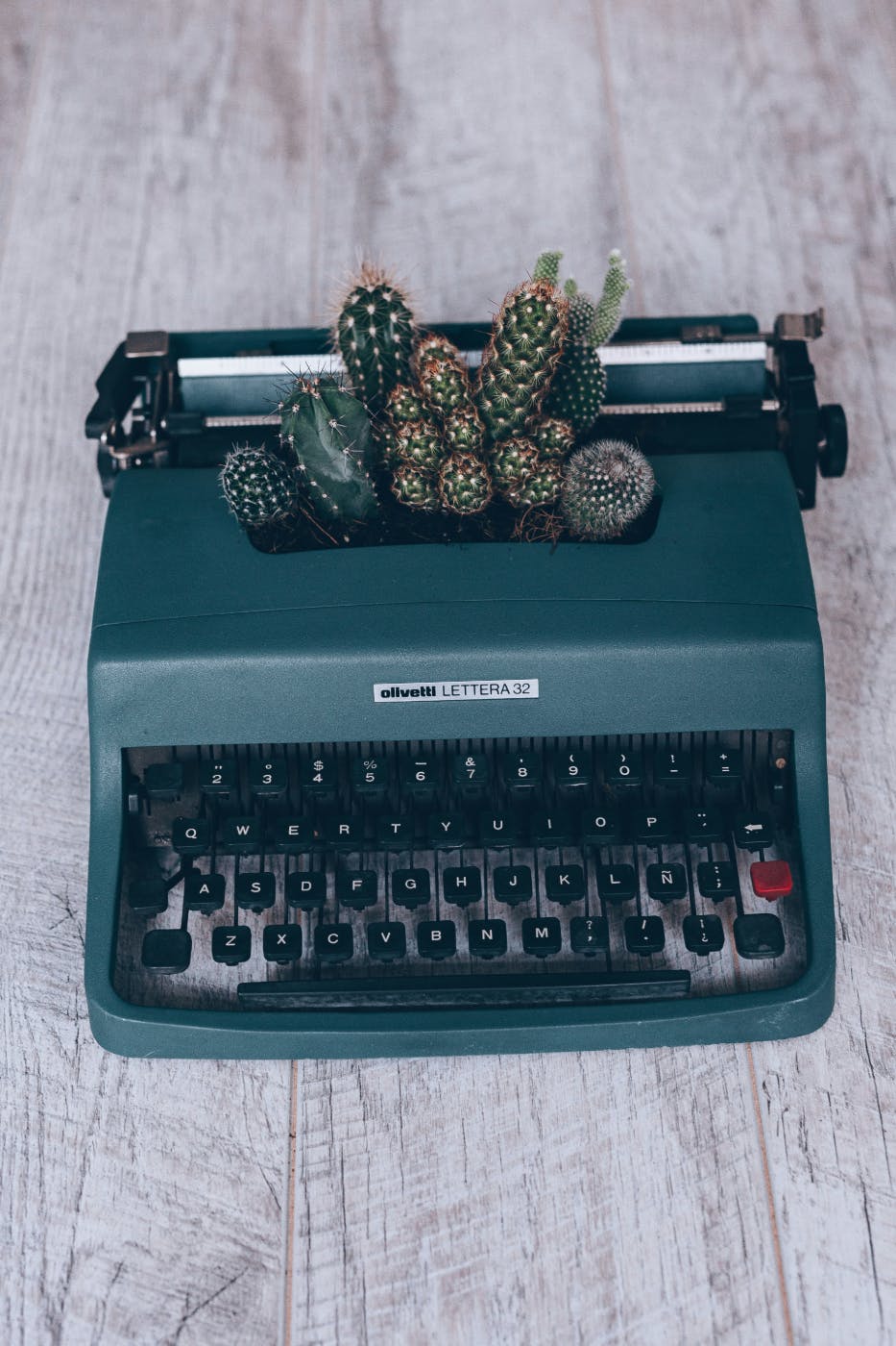 A green Olivetti typewriter with cacti growing out of it