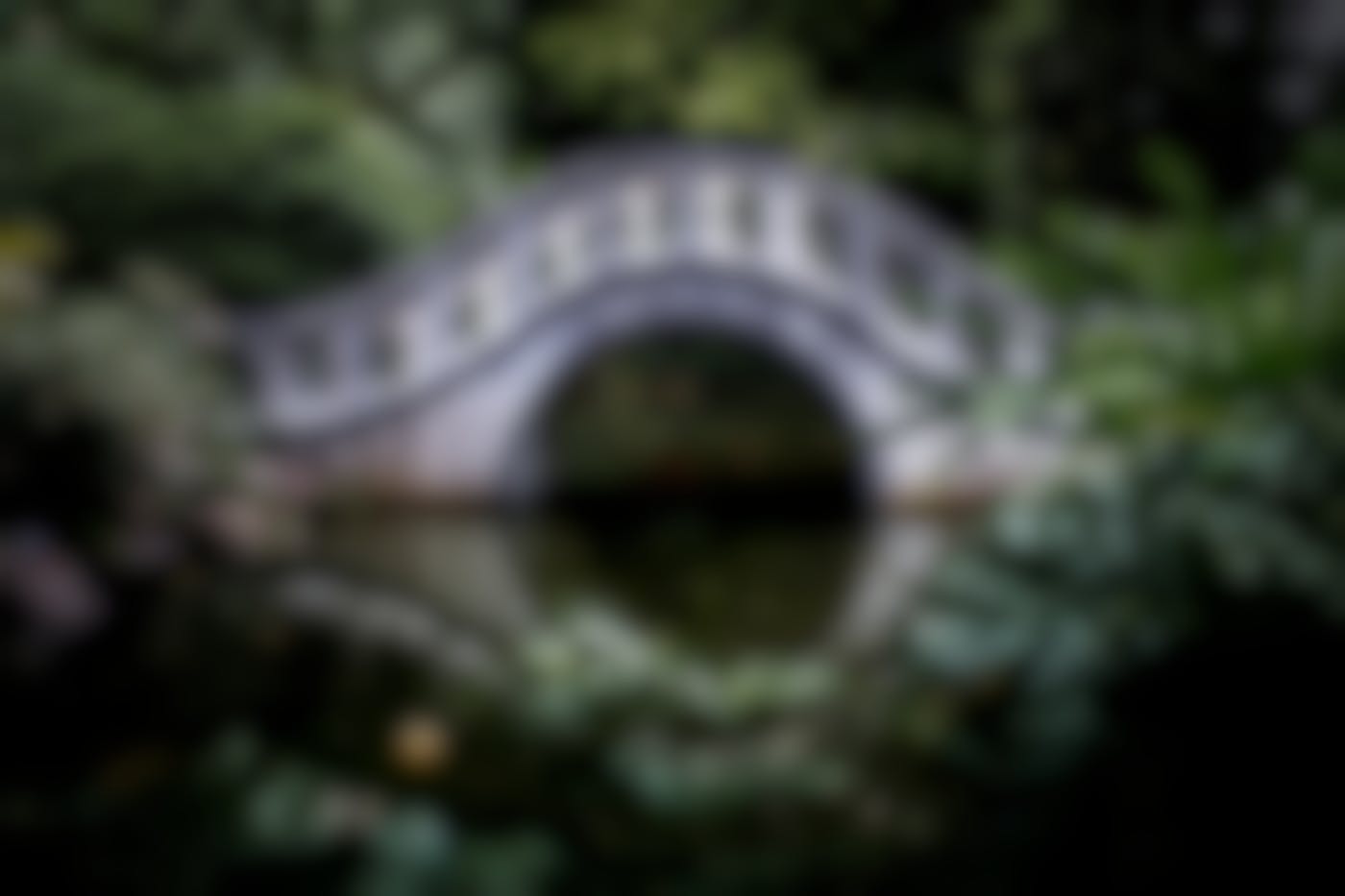 A footbridge over a still pond in a wooded area