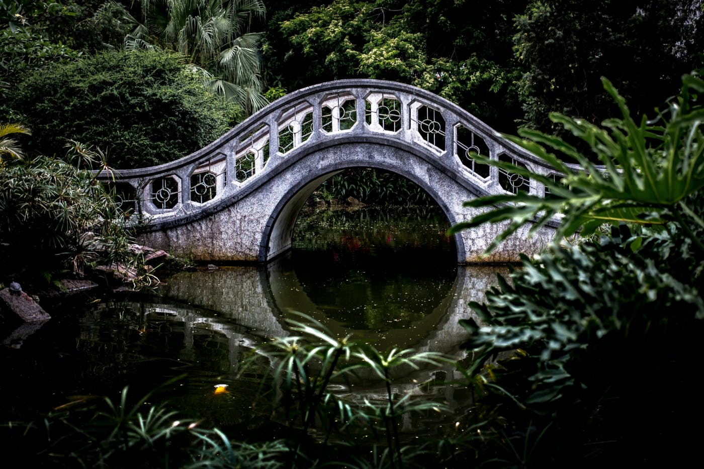 A footbridge over a still pond in a wooded area