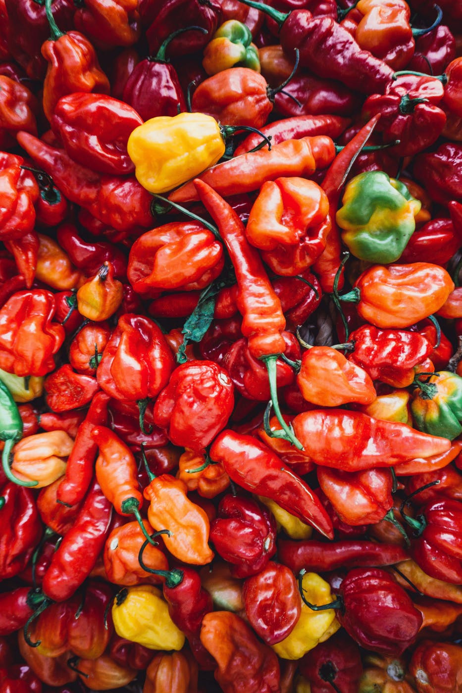 Hundreds of different hot peppers