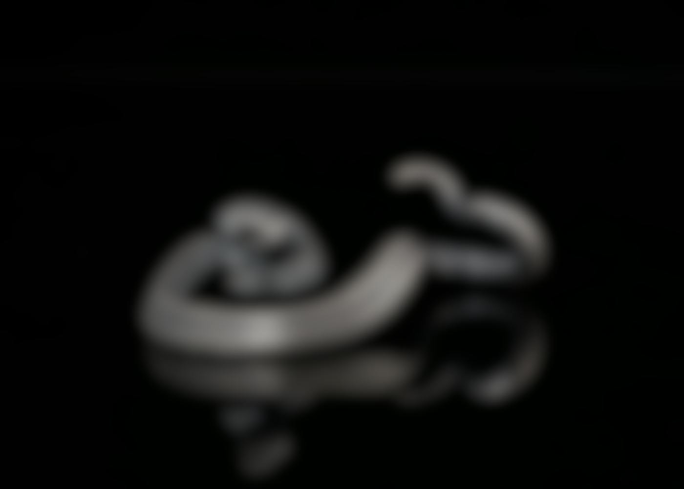 A silver statue of a rattle snake against a black background