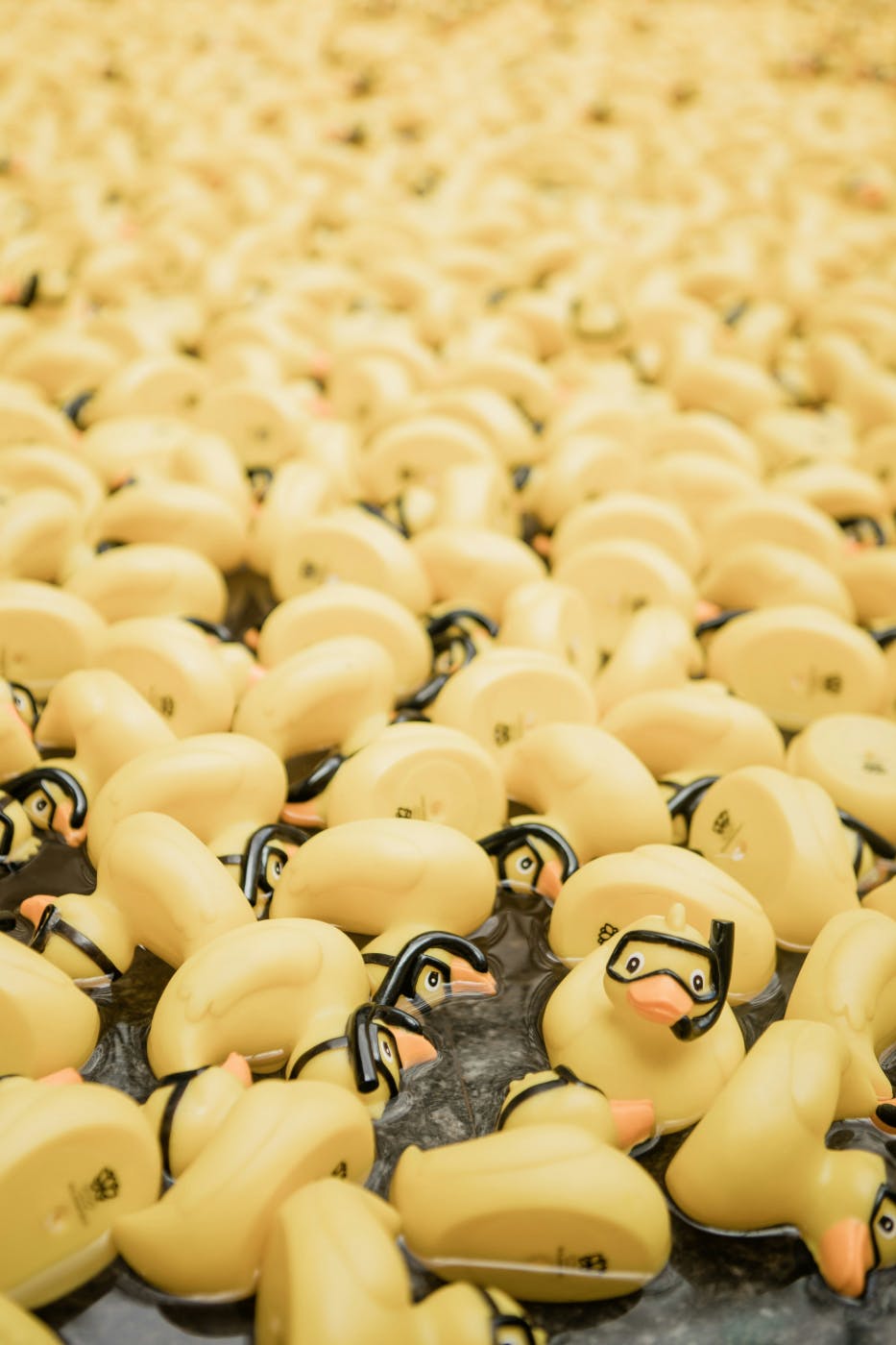 Thousands on yellow rubber dicks wearing goggles and snorkles