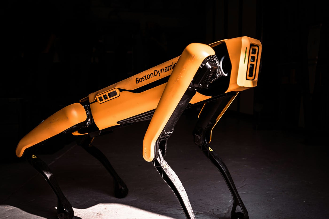A yellow and black Boston Dynamics robot dog