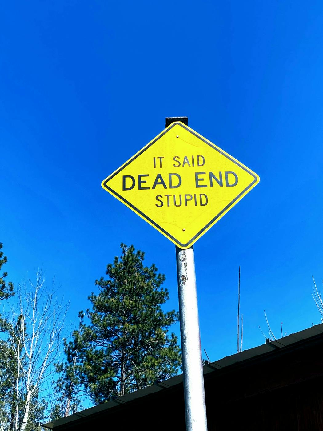 Yellow sign reading; It Says DEAD END stupid