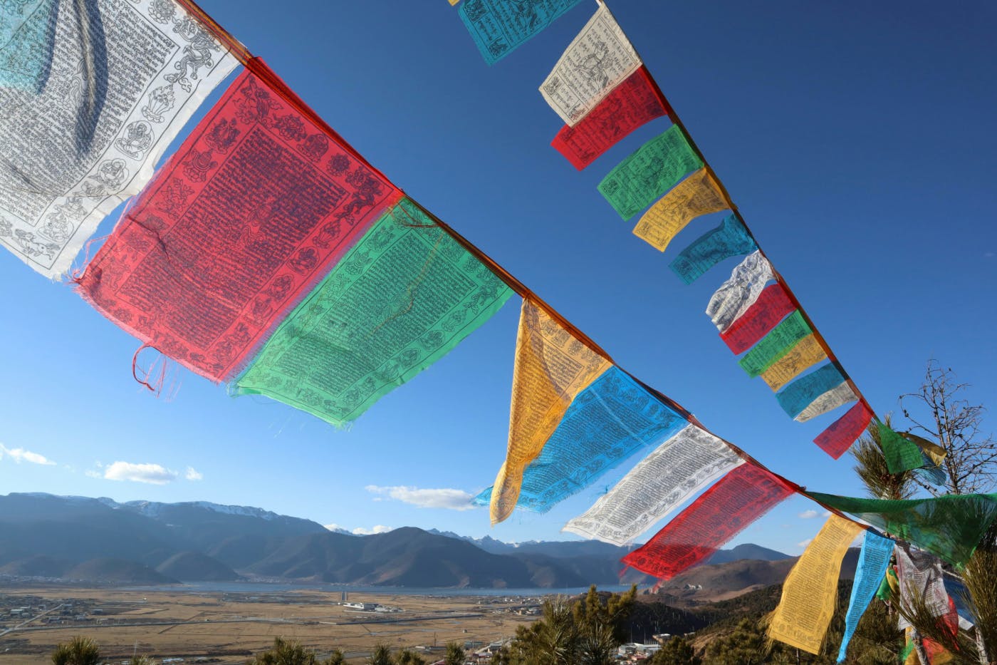 Prayer flags waving in the desert air
