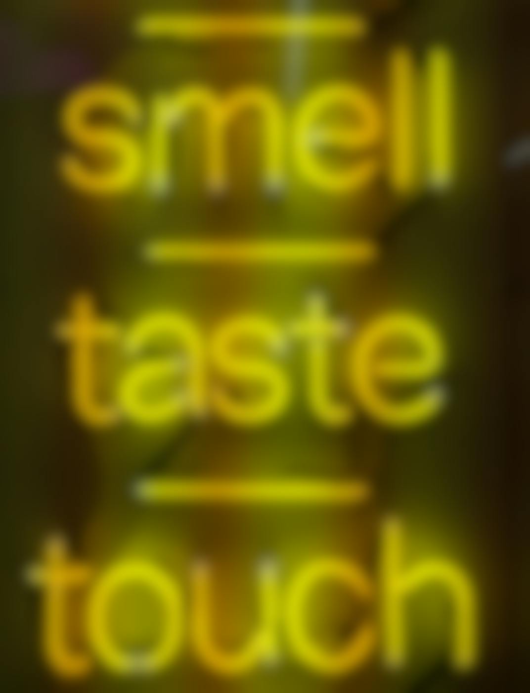 Smell, Touch and Taste in yellow neon lights