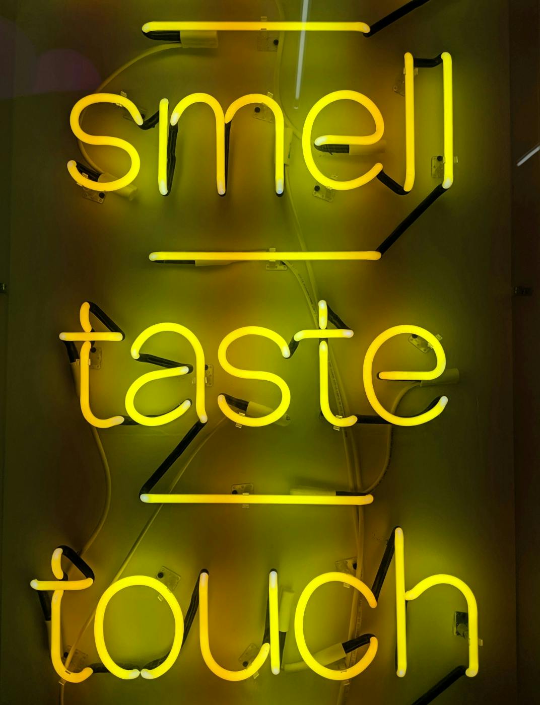 Smell, Touch and Taste in yellow neon lights