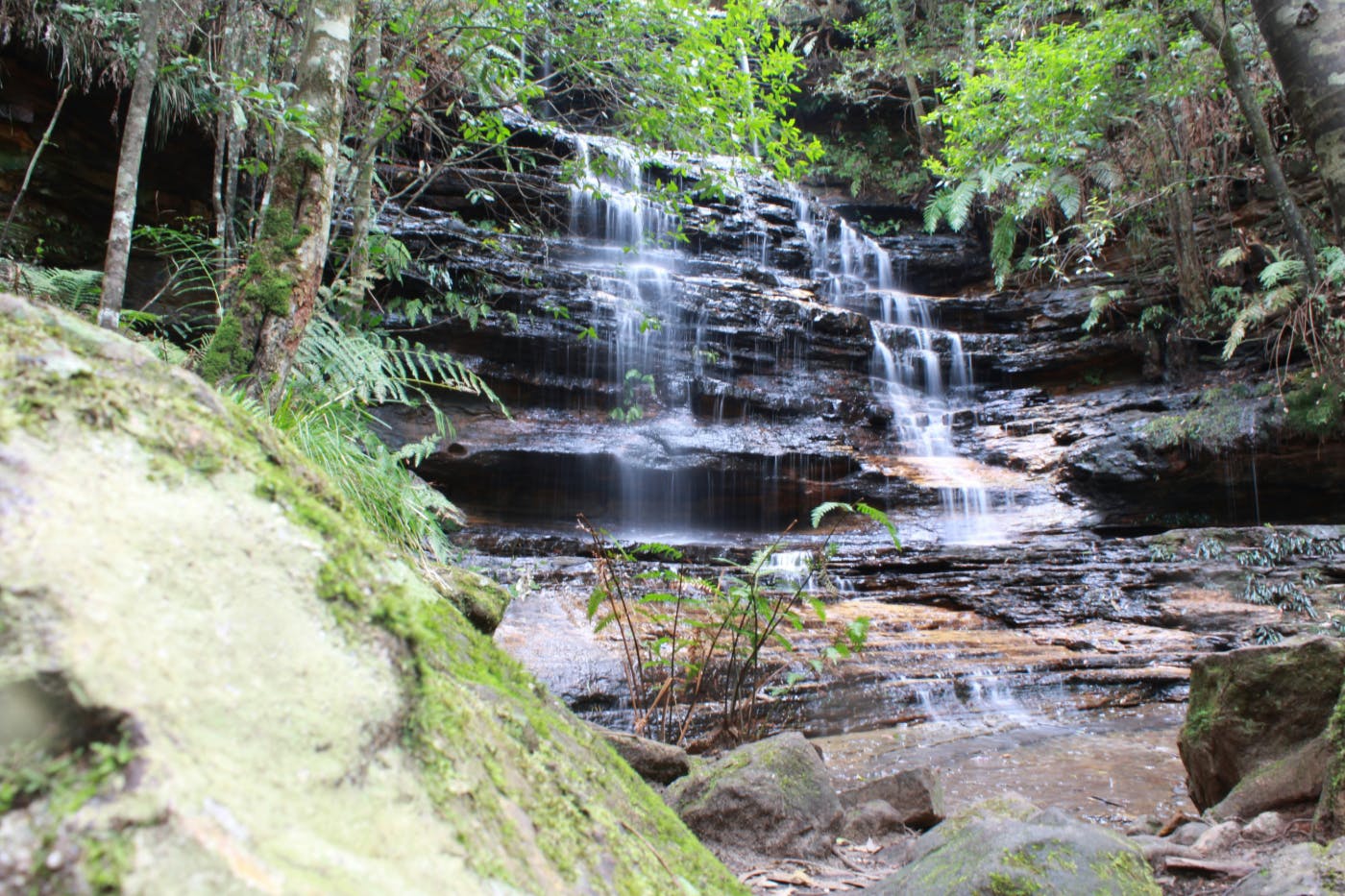 A waterfall in the forest