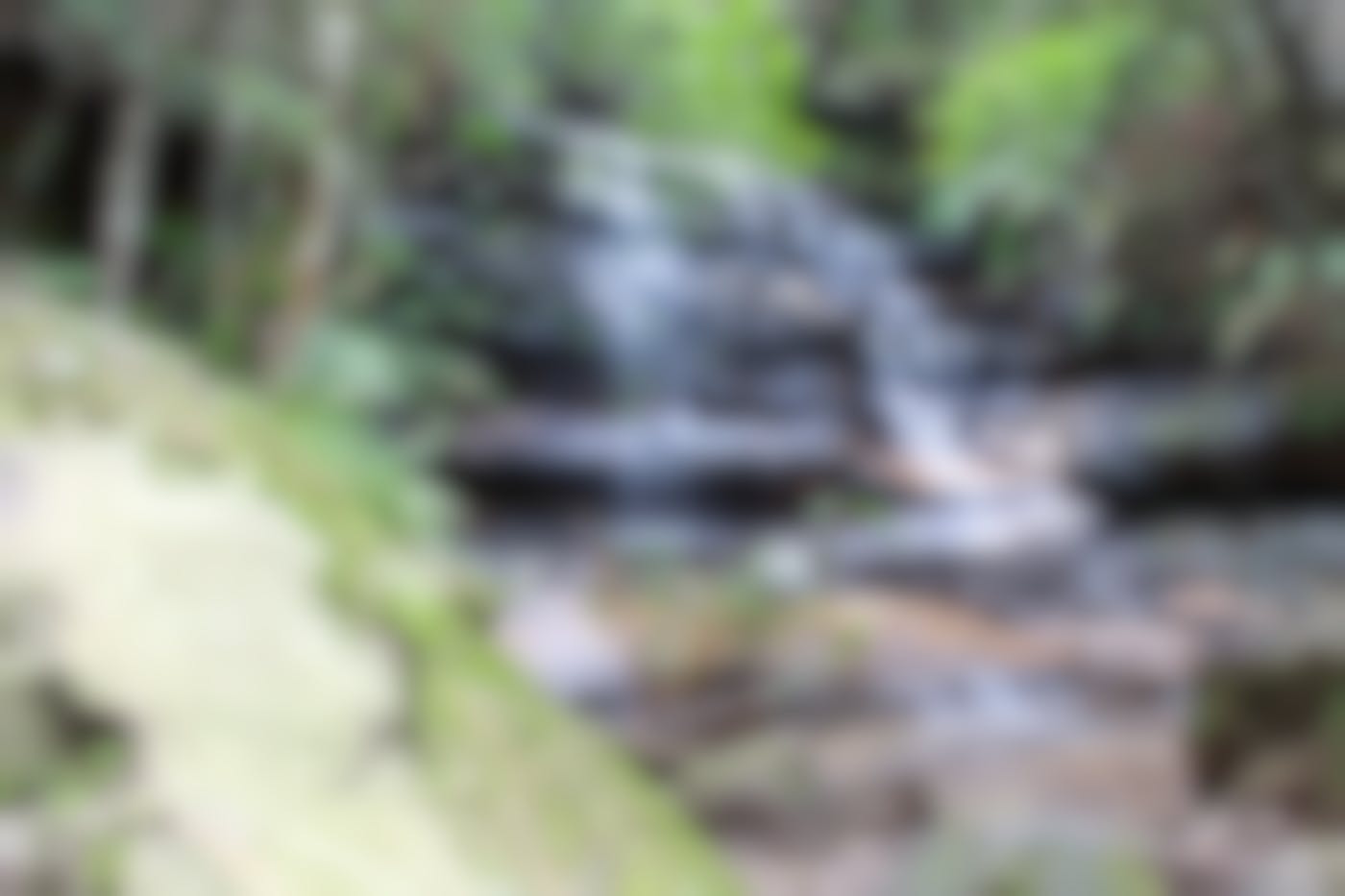 A waterfall in the forest