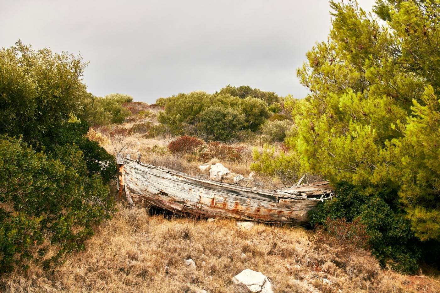 A rusted and broken dory on the brown grass