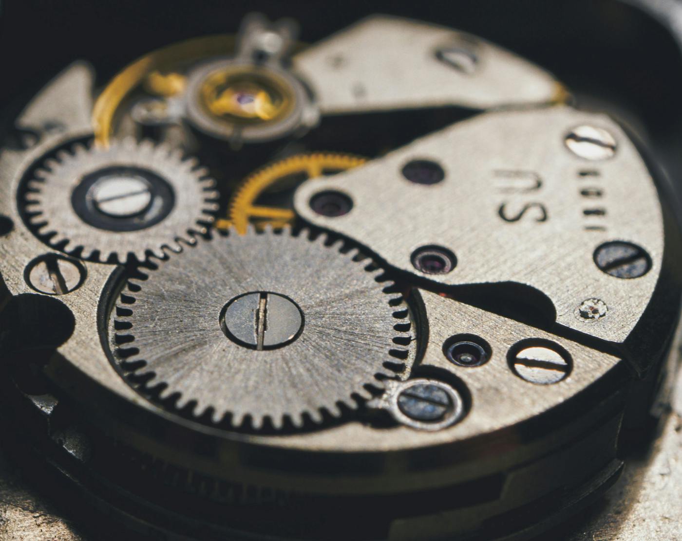 The interior workings of a watch