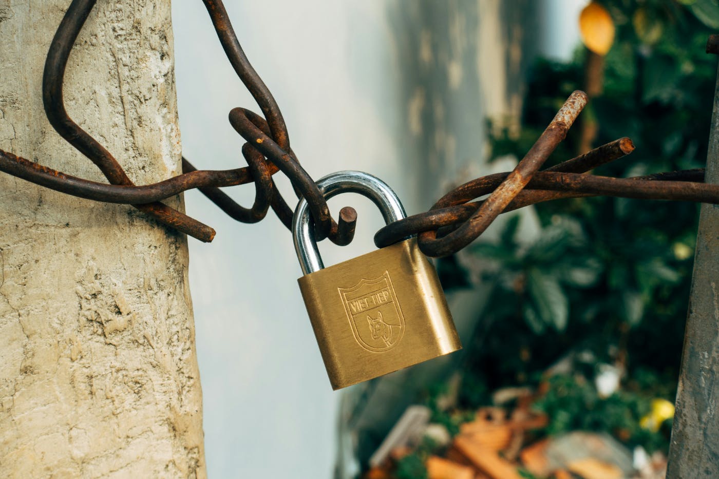 A brass padlock on a rusted metal fence
