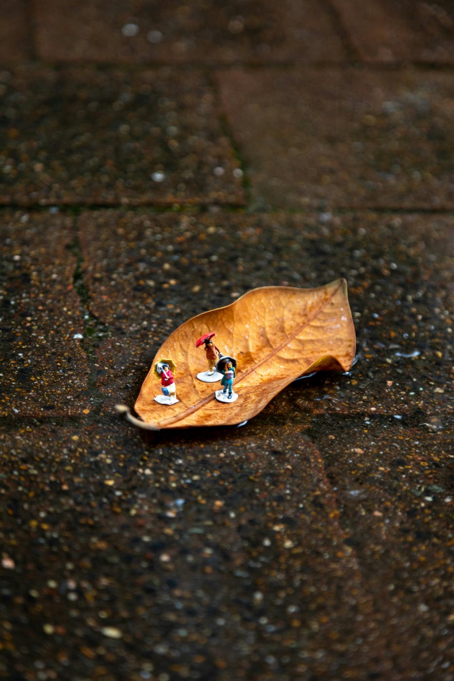3 tiny "people" on a leaf on the wet ground