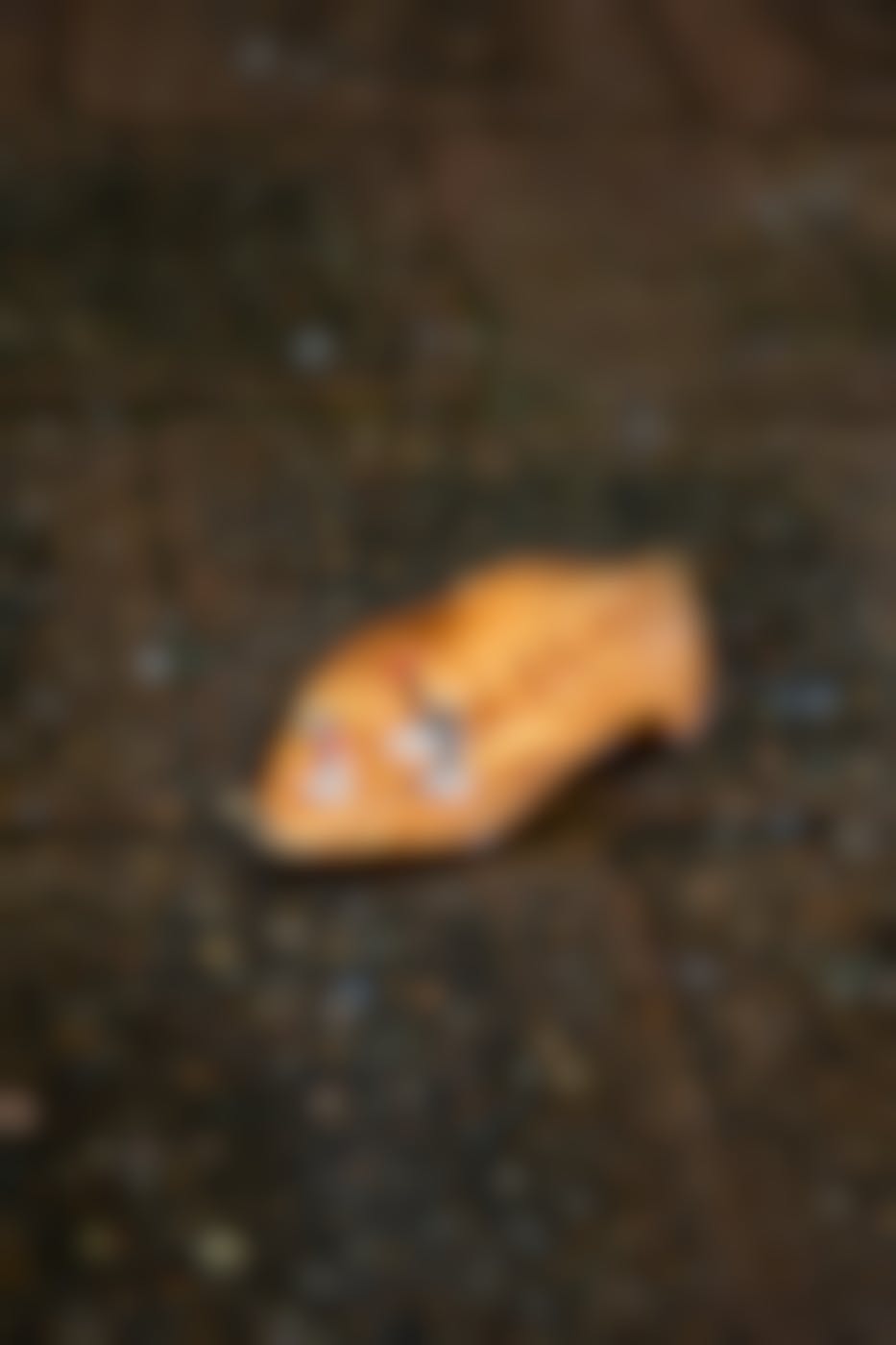3 tiny "people" on a leaf on the wet ground