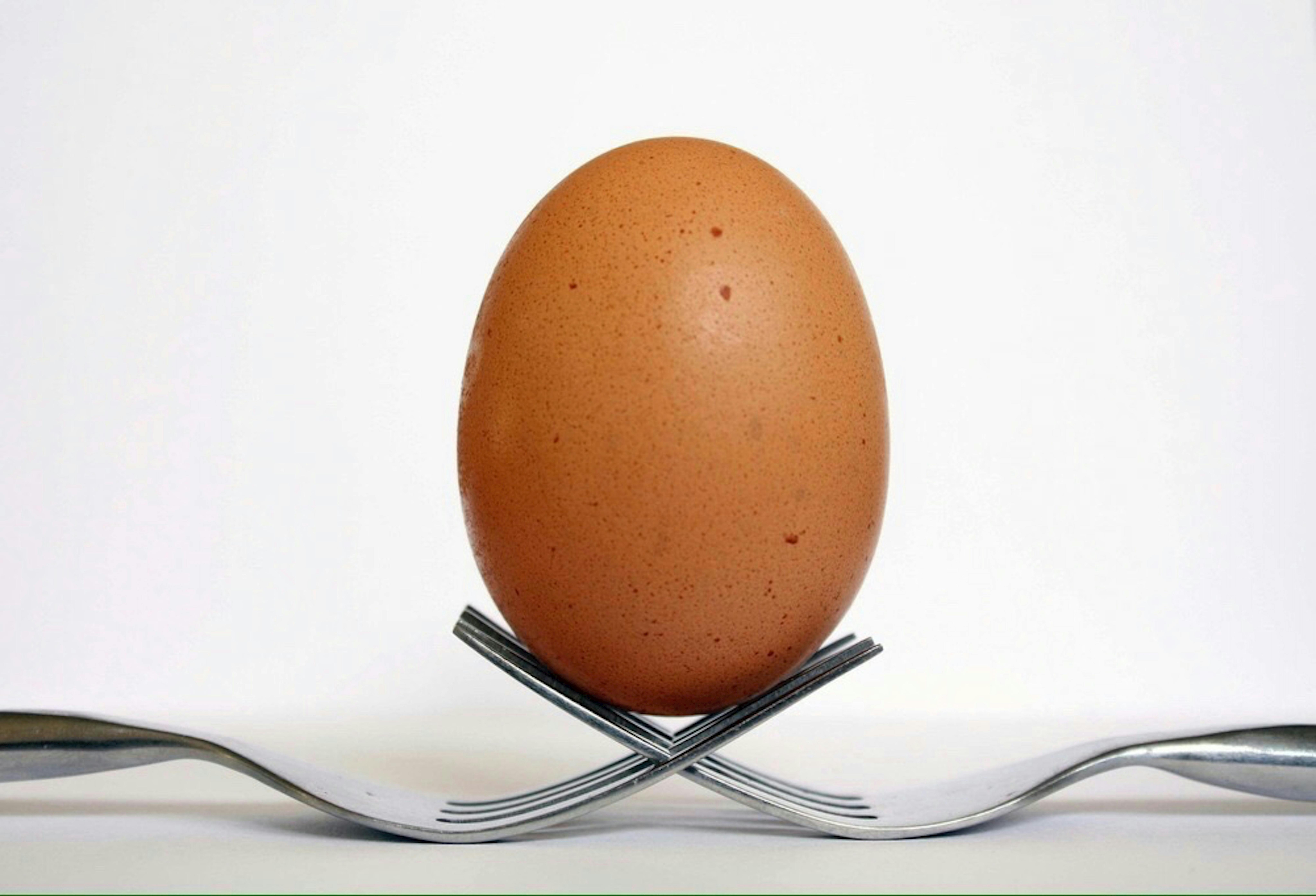 A brown egg balanced on the intertwined tines of two forks