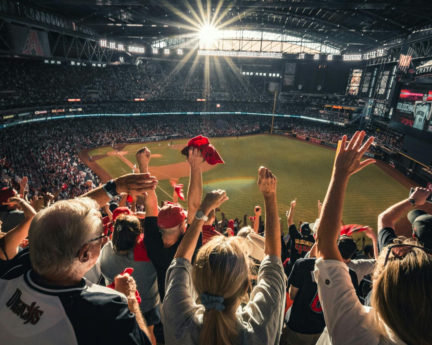 Fans at a baseball game
