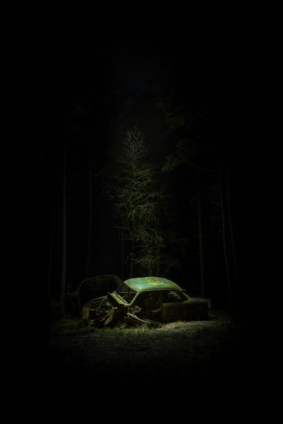 A decaying car in the woods in moonlight