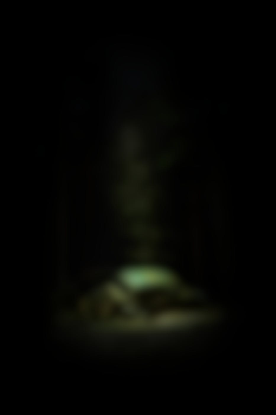 A decaying car in the woods in moonlight
