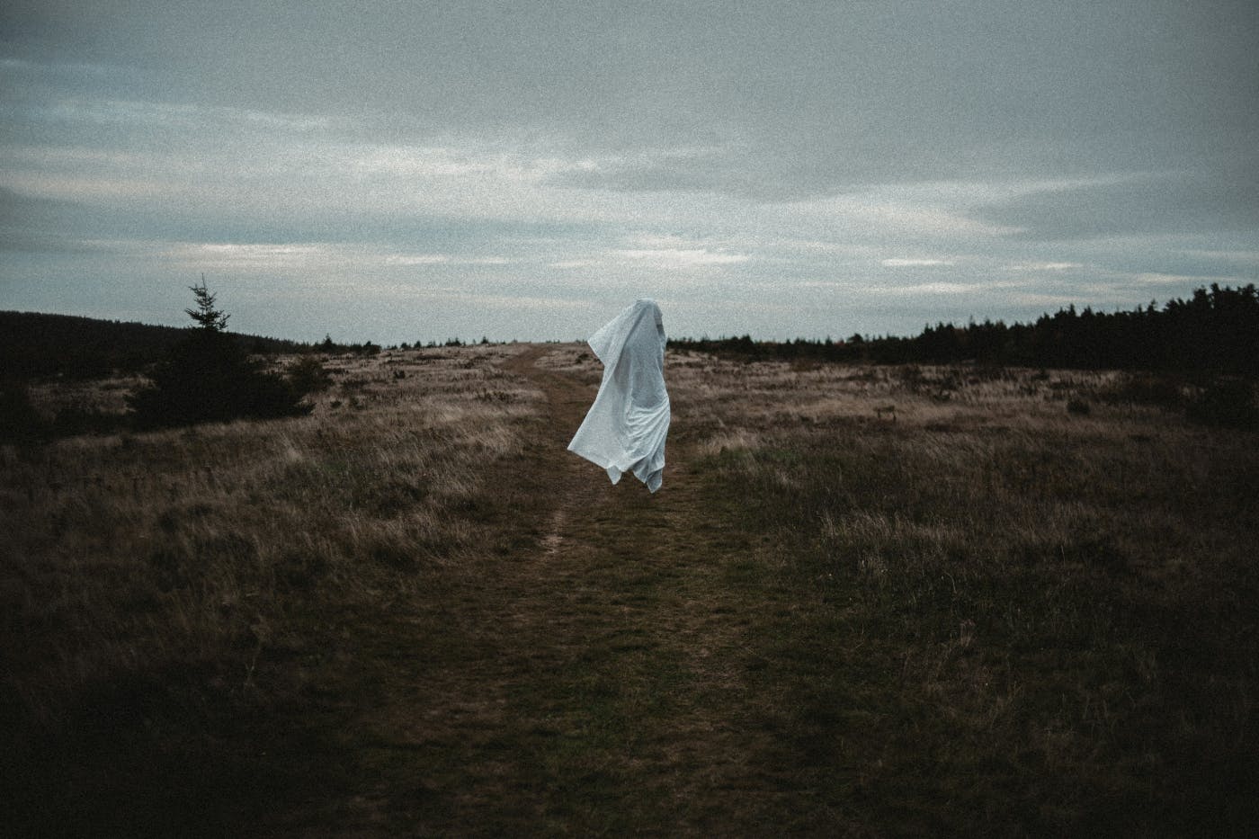 A floating sheet in a field that looks to be running away