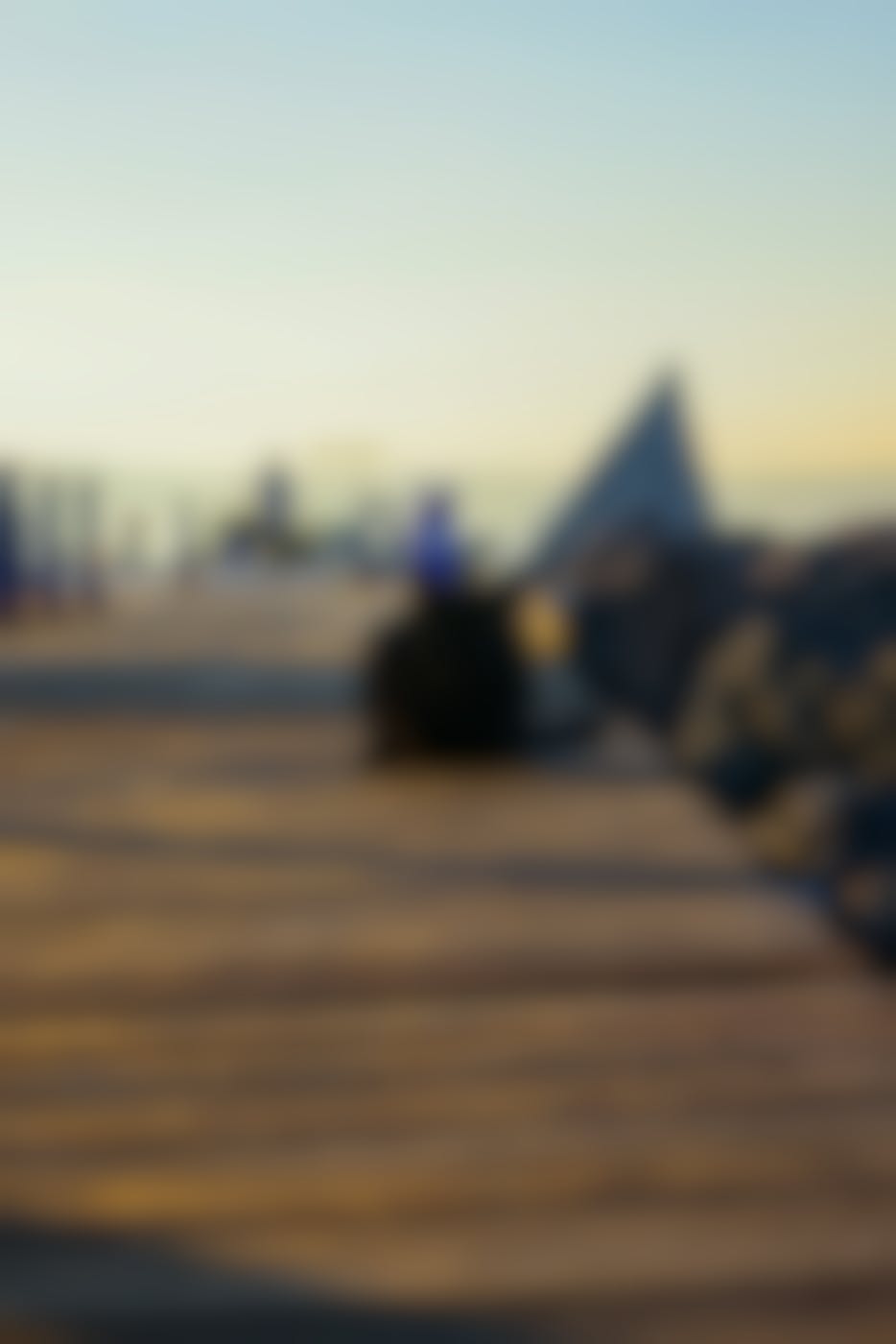 A black feral cat sitting on a wood dock