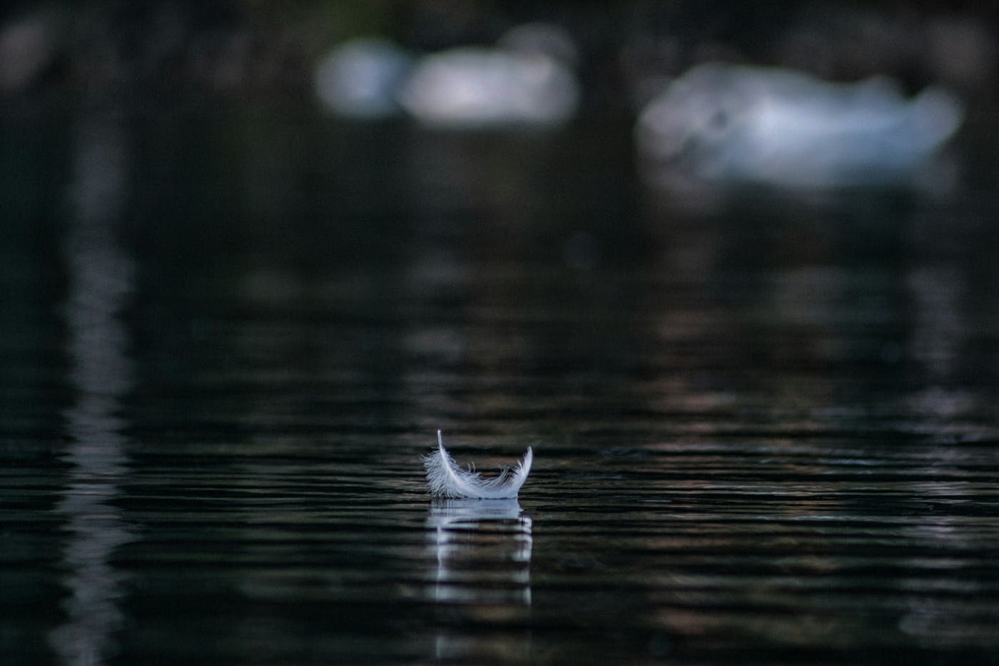 A small white feather floating on a black pool of water