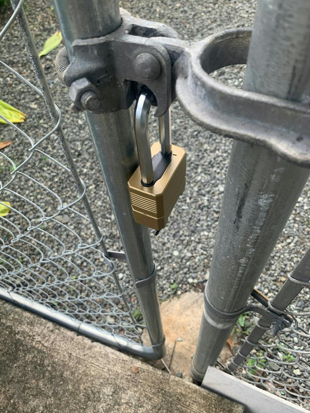 A chain link fence with a gold padlock