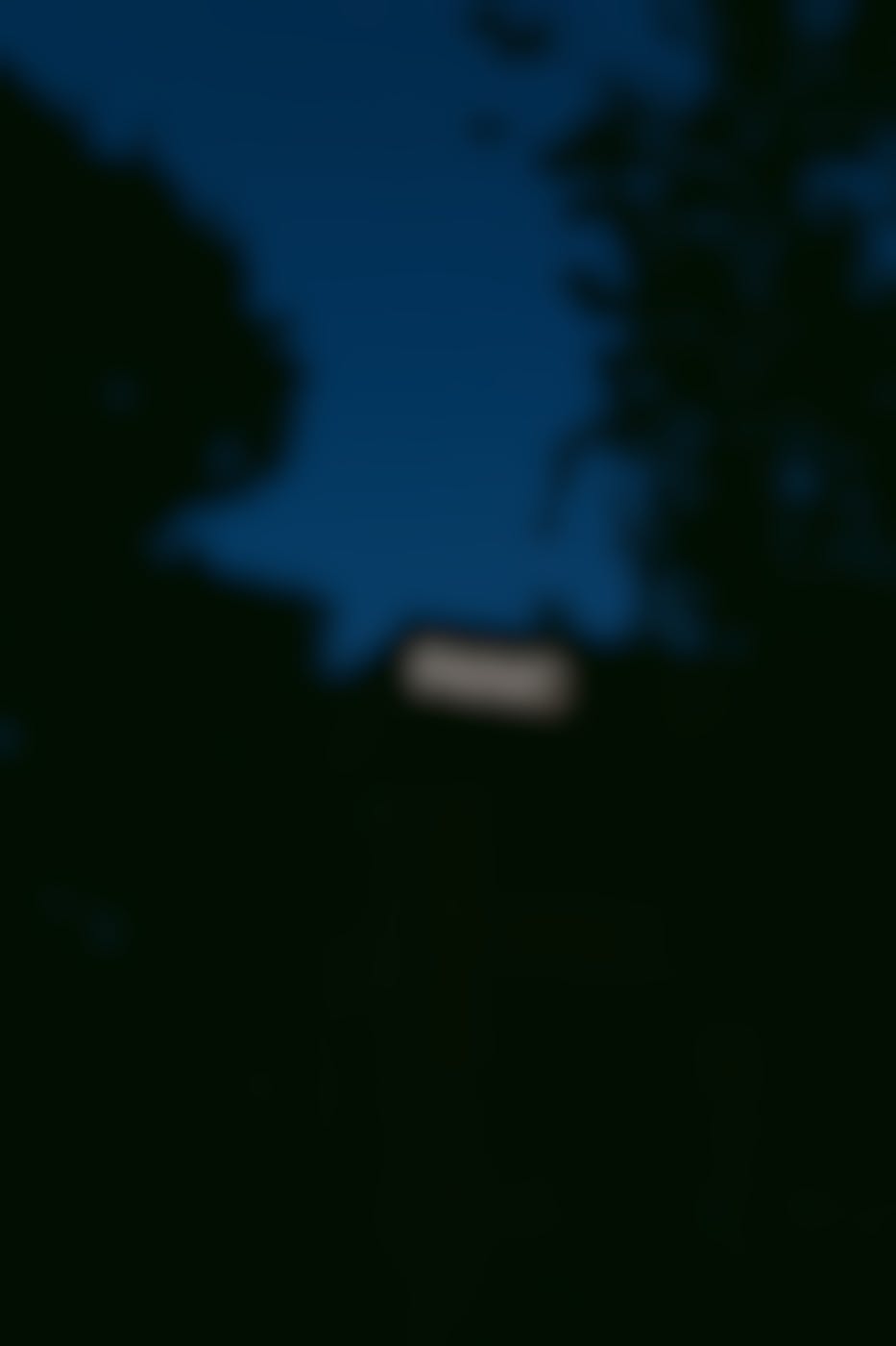 The silhouette of a building at night with a lighted sign reading PANIC