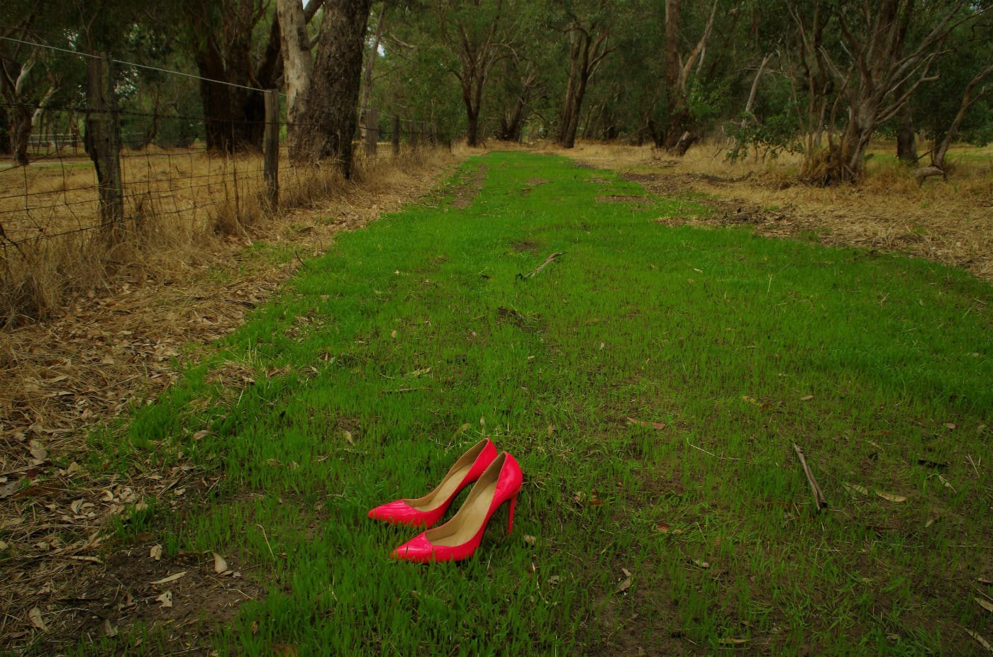 A pair of pink pumps sitting in a green field