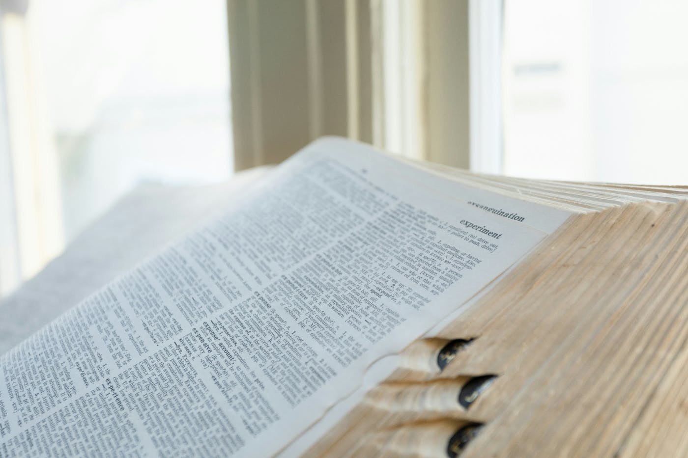 A profile shot of a very large open dictionary