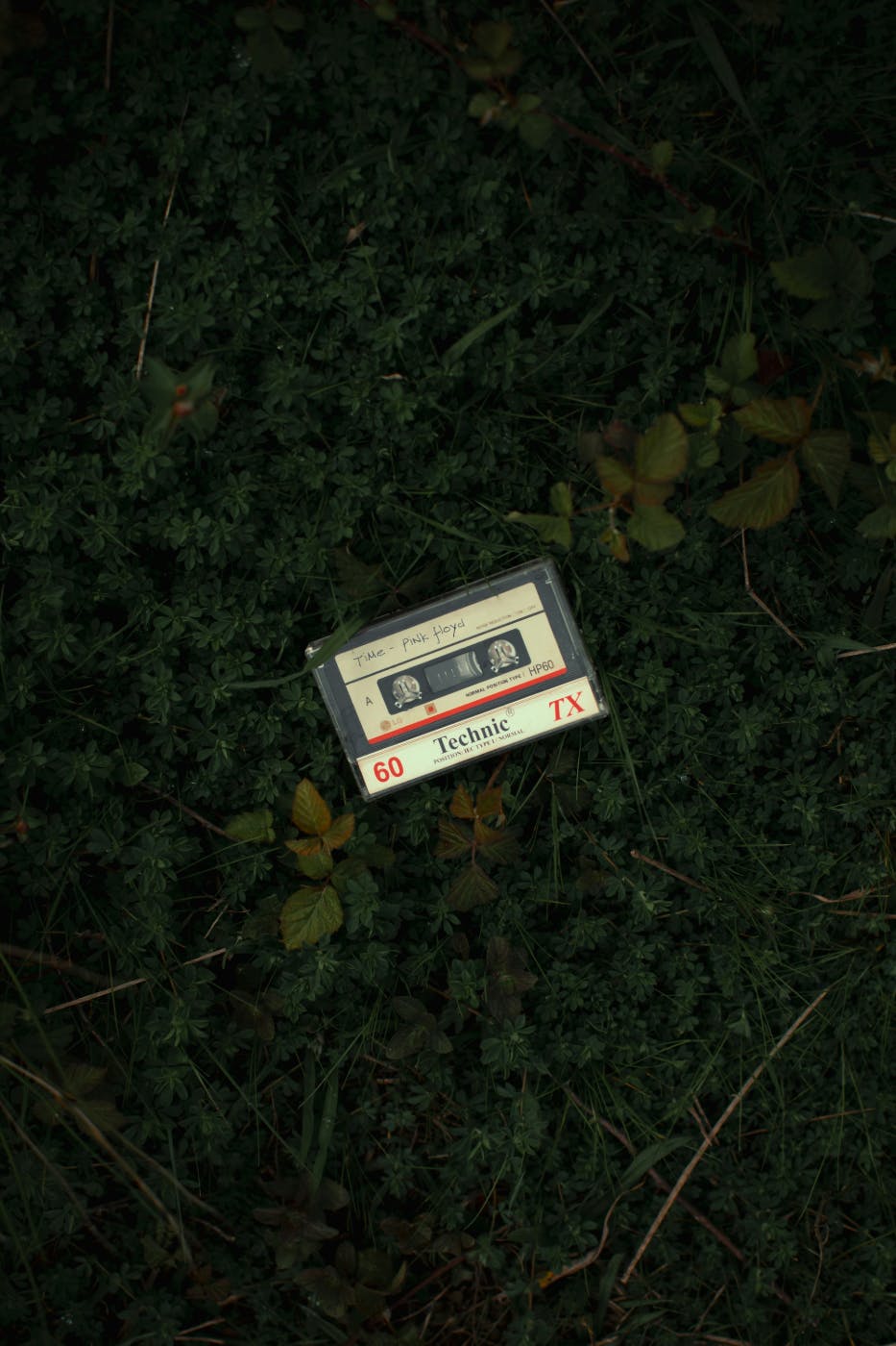 a cassette tape on the ground in the woods