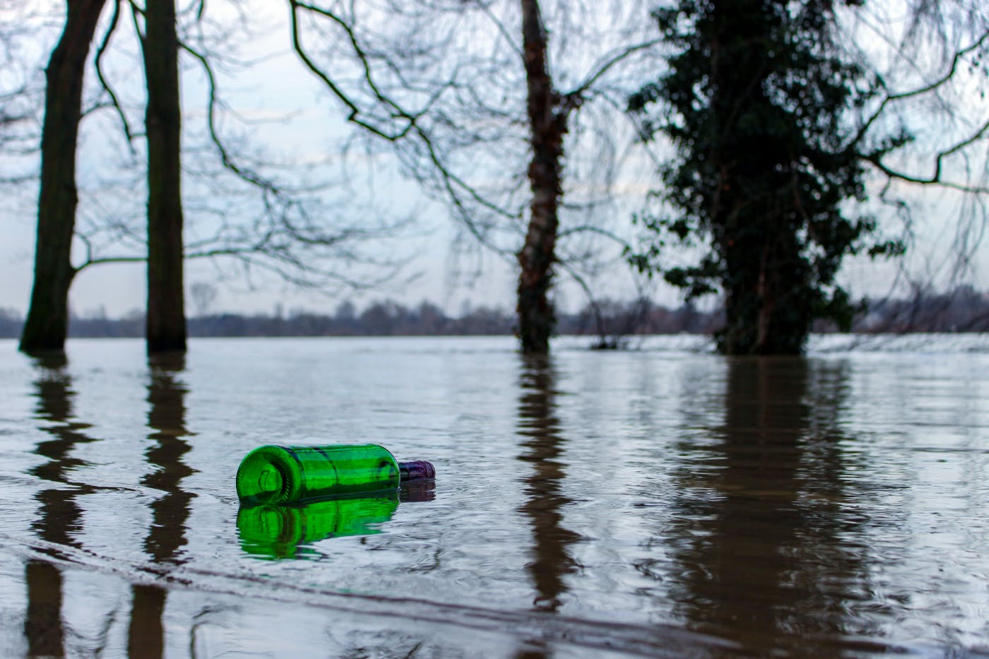 An empty green bottle floating on a calm lake