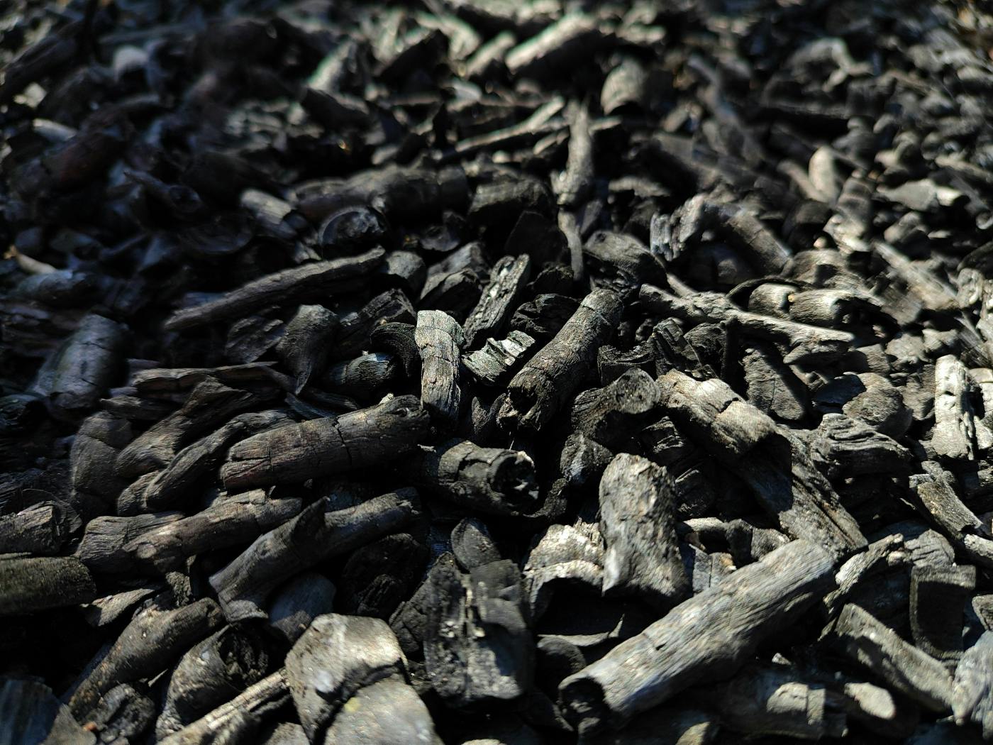 wood charcoal on the ground