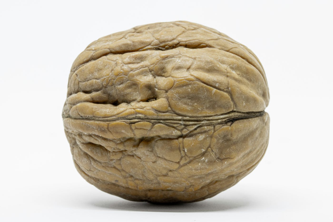 A walnut