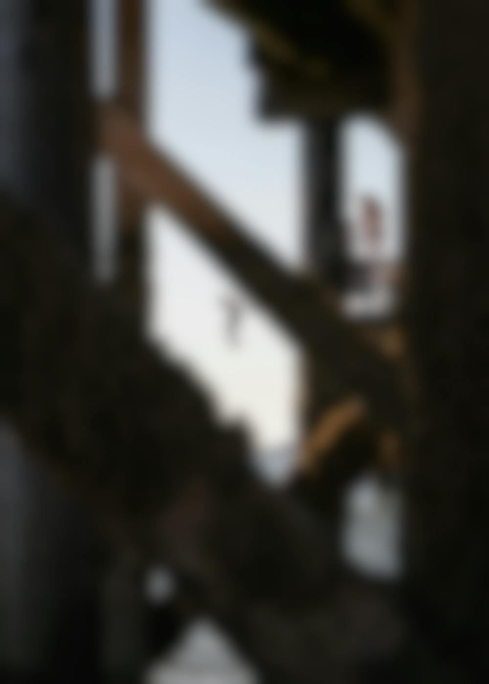 A shot from under a pier of kids jumping off a dock