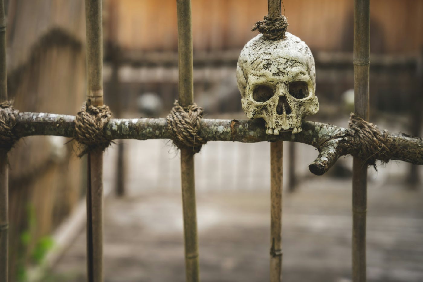 A wood gate with a human skull pierced on it
