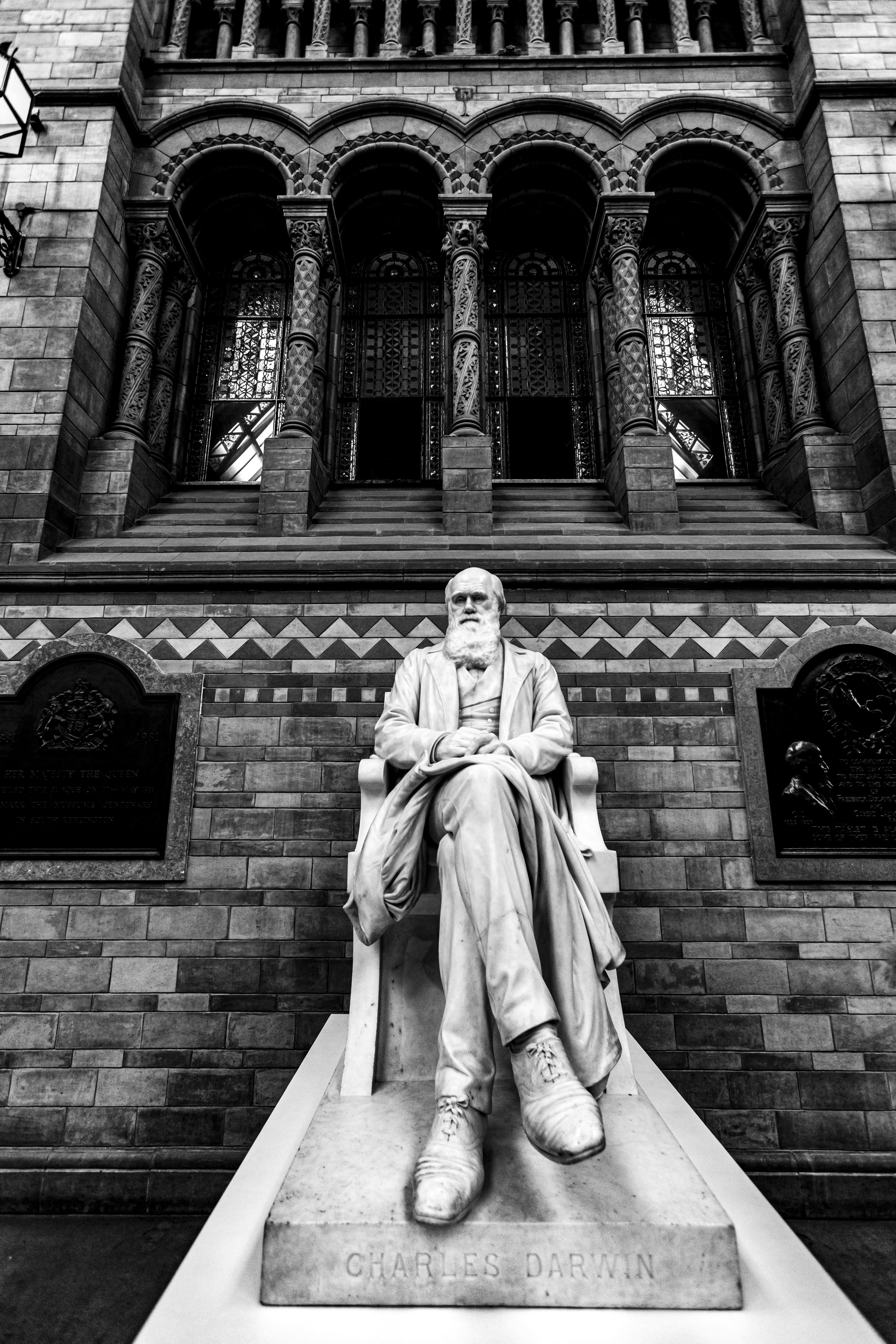 A statue of Darwin