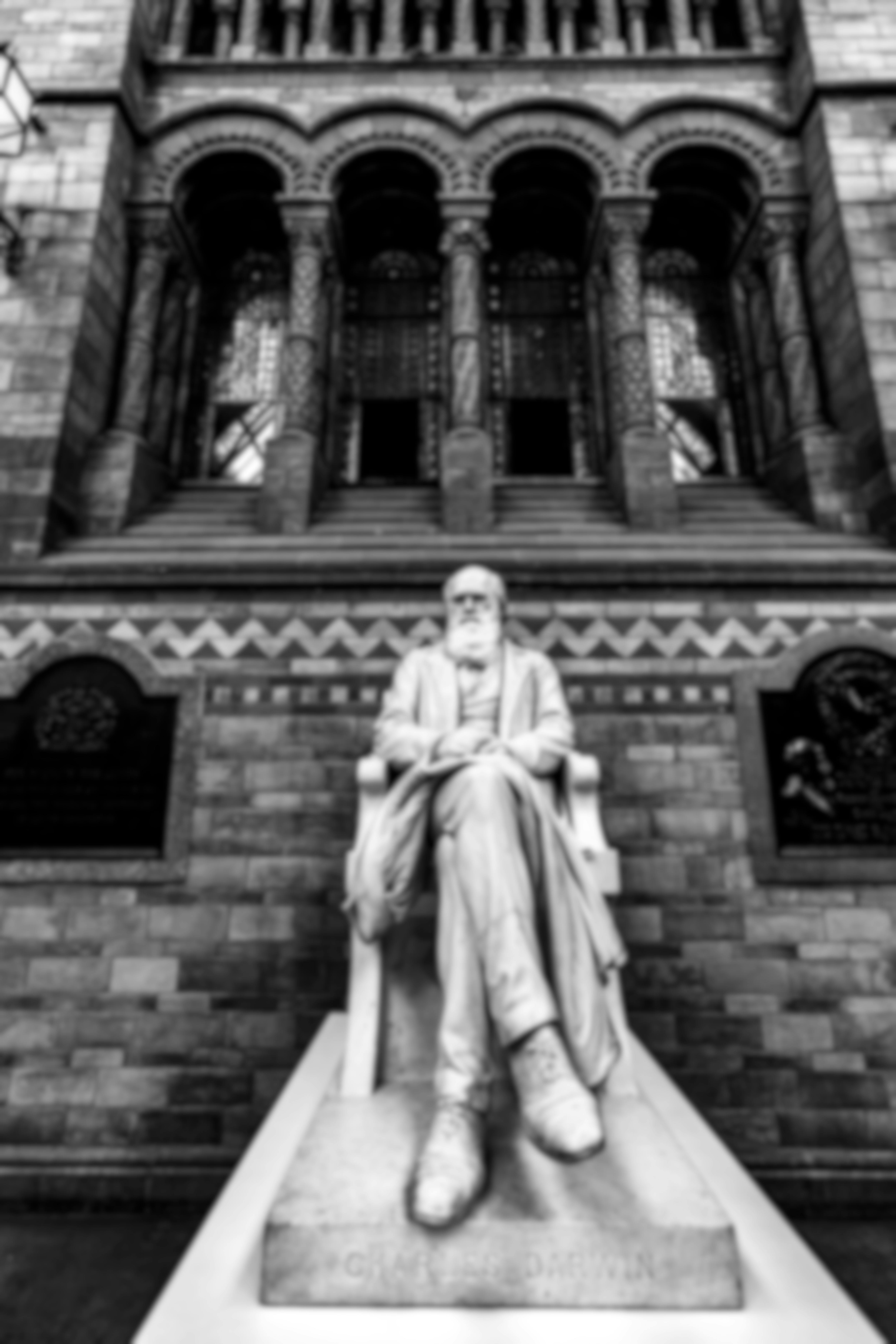 A statue of Darwin