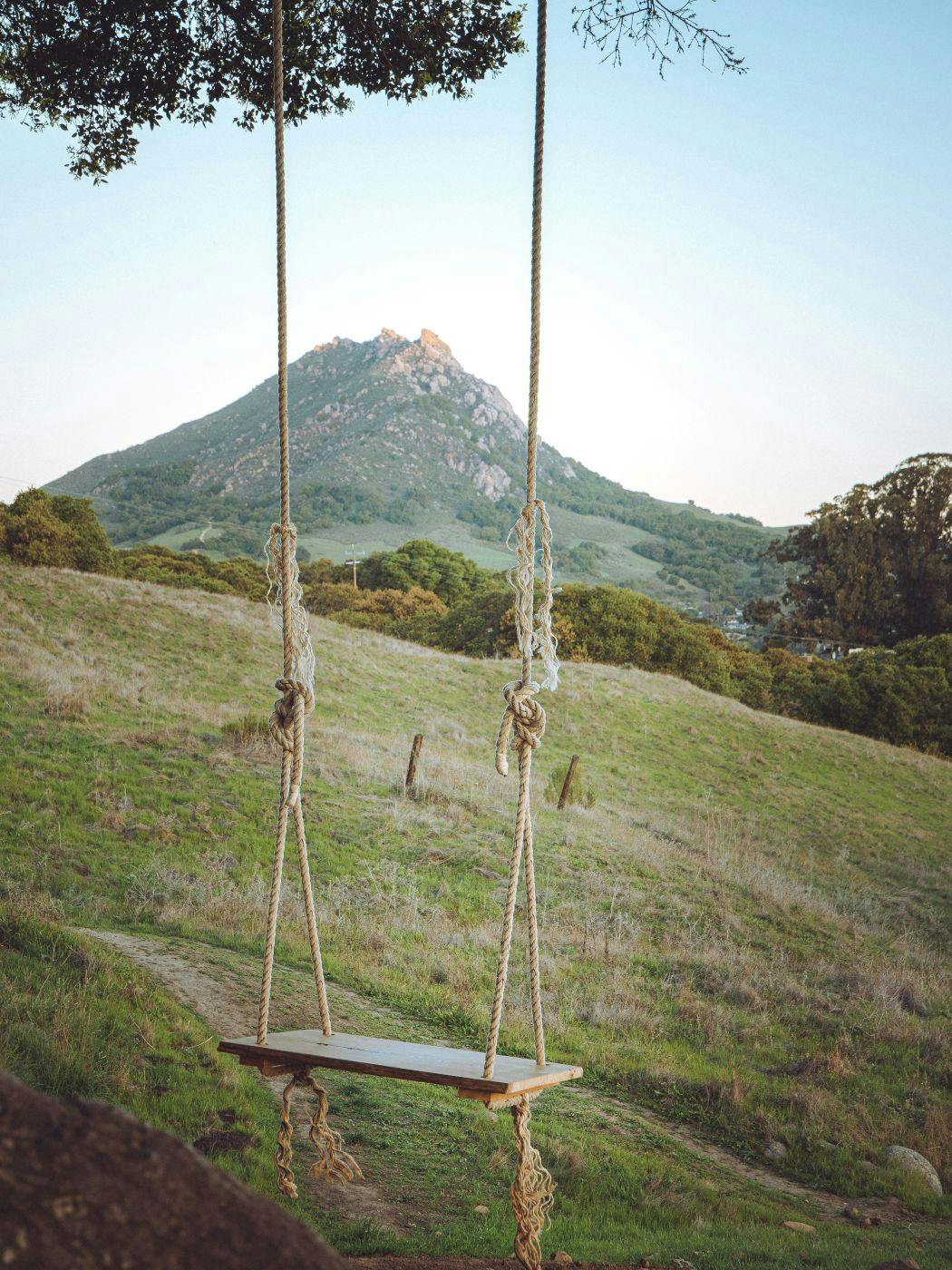 A swing on a tree branch overlooking a mountain and meadows