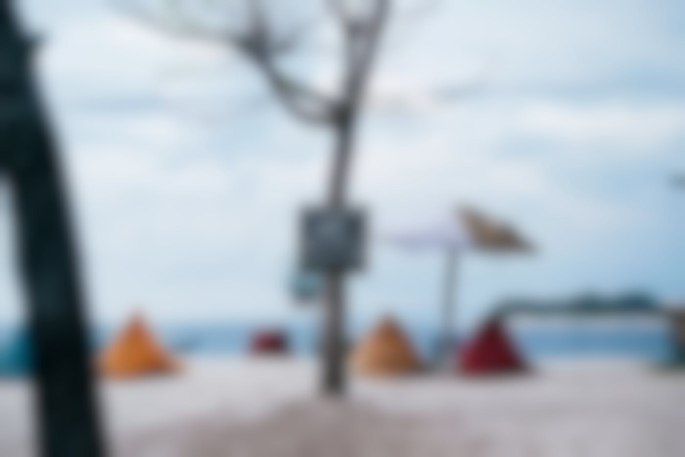 Sleeping bags on a beach and a tree with a sign reading "We have no wi-fi, talk to each other, pretend it's 1995