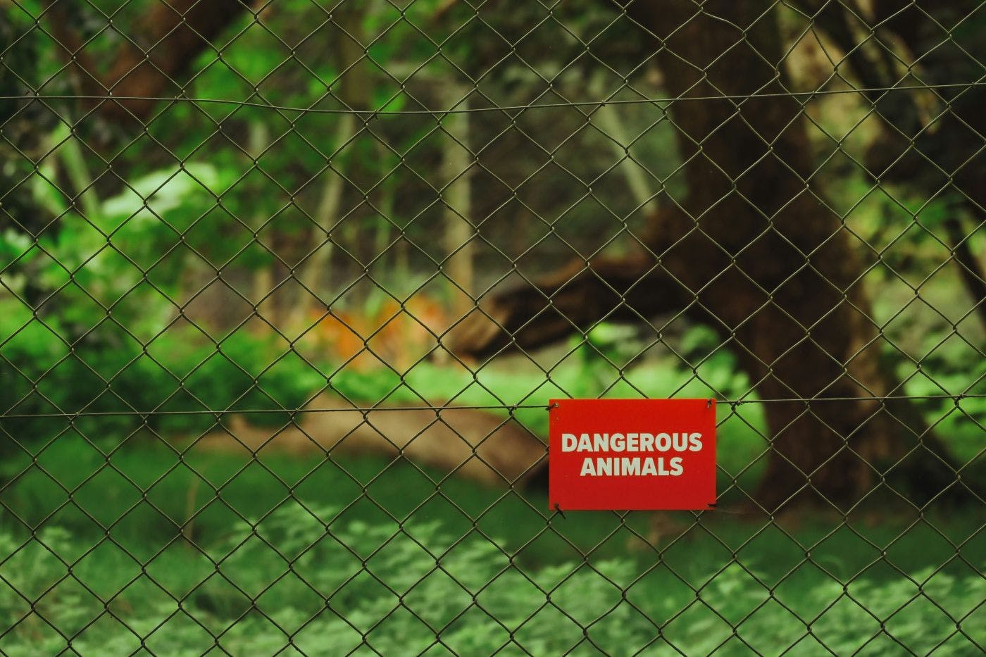 A chain link fence with red sign reading Dangerous Animals