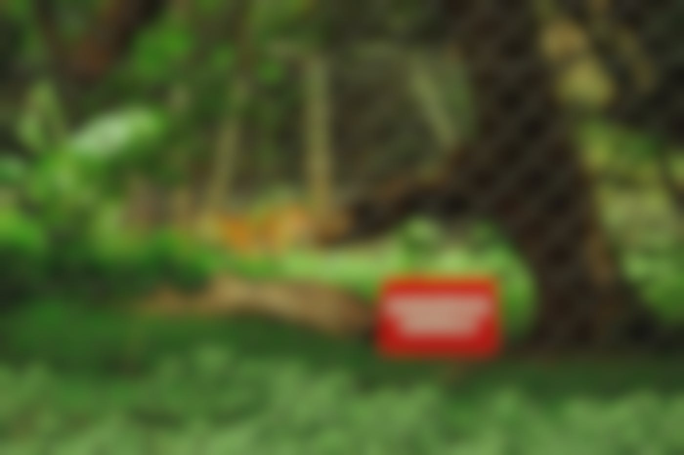 A chain link fence with red sign reading Dangerous Animals