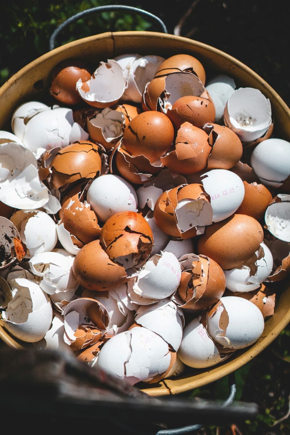 A bowl of brown and white egg shells
