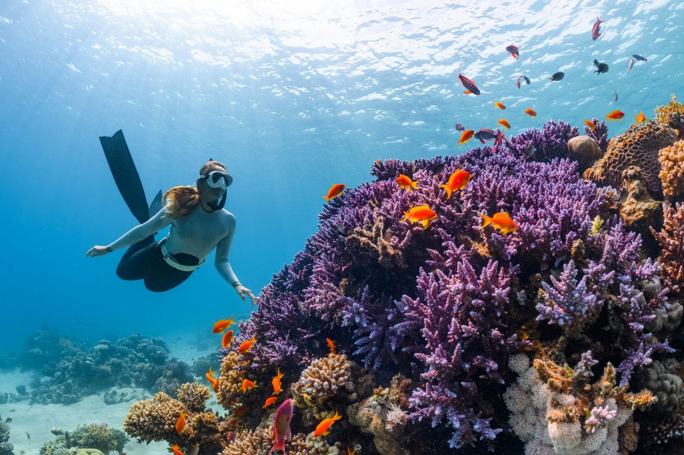 A woman snorkels over a colorful reef