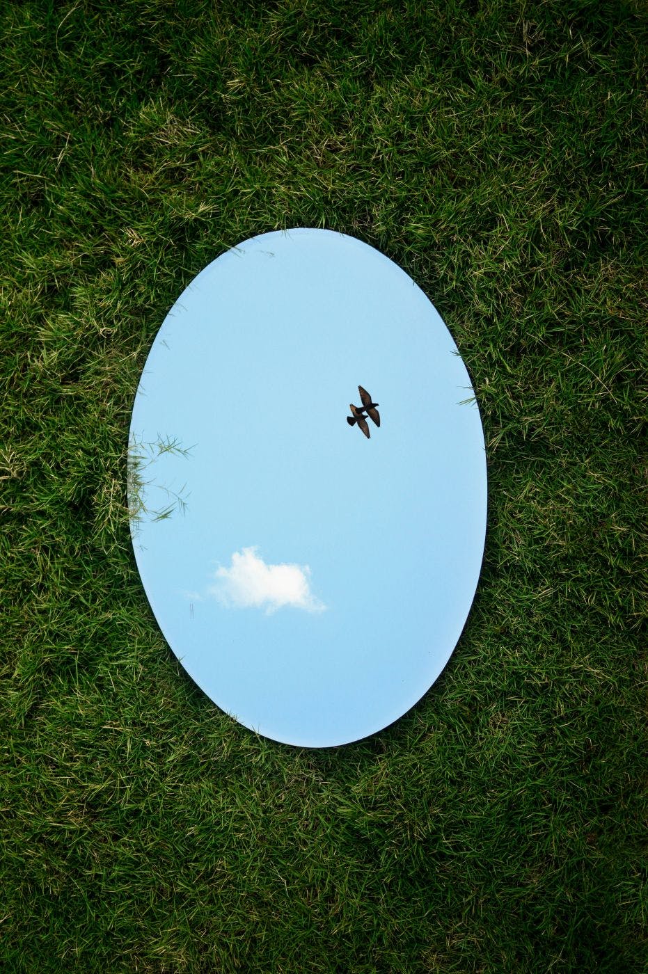 An oval mirror in the grass reflecting two birds above in a blue sky