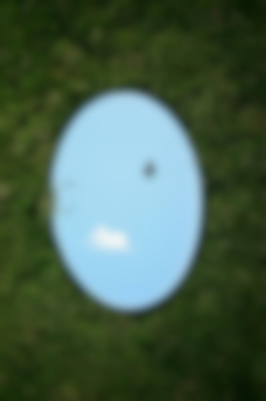 An oval mirror in the grass reflecting two birds above in a blue sky