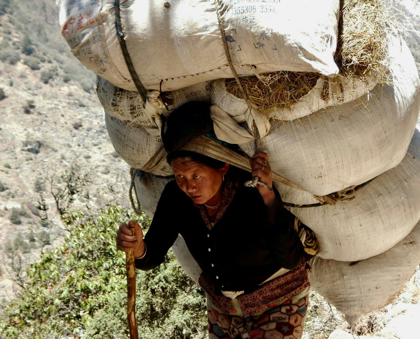 A woman carrying a huge bag of straw on her back